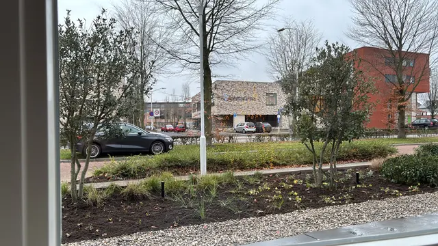 Beplanting aan de straatzijde