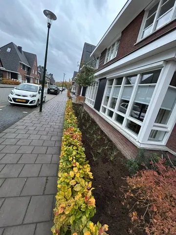 Beplanting langs de gevel