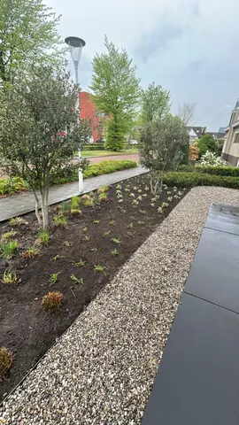 Beplanting langs een tuinpad